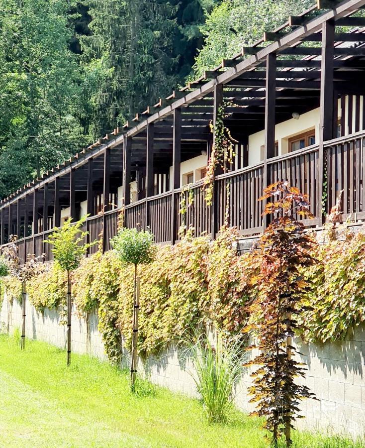 Resort Lesní Lázně Zvánovice Exterior foto